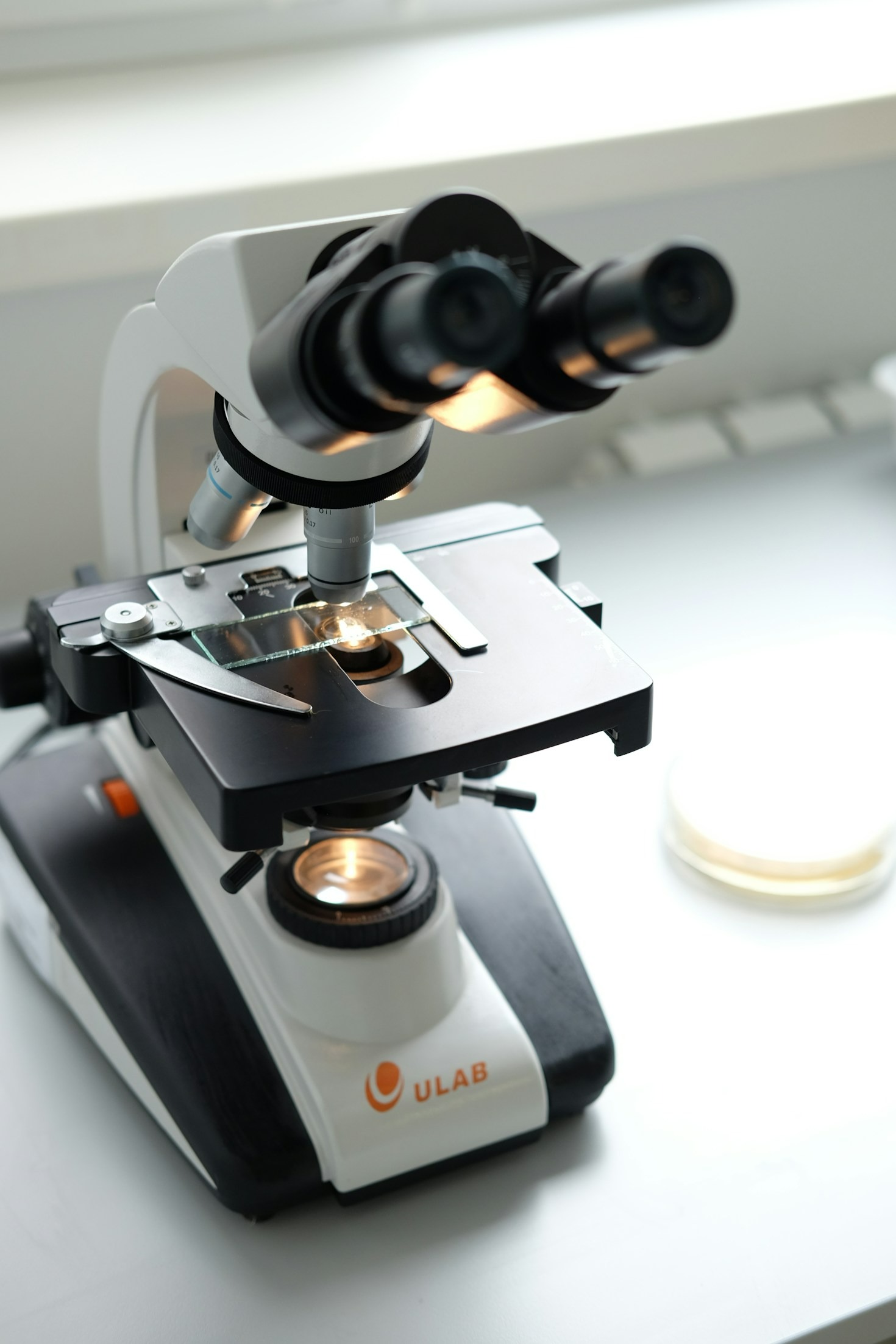 Science-Backed Strategies for Faster Recovery